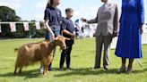 King and Queen grant goat rare royal title as they finish Channel Islands visit