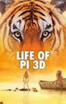 Life of Pi (film)