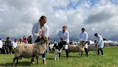 Wayland Show returns with fresh ideas for historic countryside event