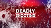 Victim identified in early morning Verdunville shooting