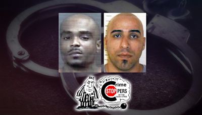 Have you seen these suspects? Crime Stoppers wants to know!