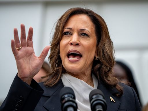 These 6 House Democrats voted for GOP resolution condemning Kamala Harris's 'failure to secure' the border