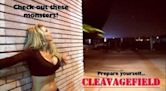 Cleavagefield