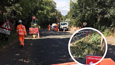 Major south Essex road closed off after lorry 'sheers off' large branch