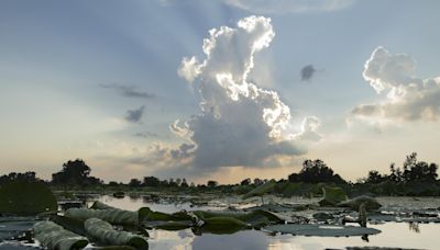 Restored 2,200-acre Michigan preserve features rare plants, birds, 9 miles of trail