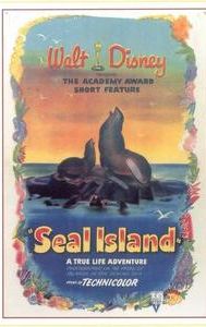 Seal Island