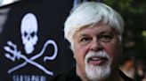 Anti-whaling campaigner Paul Watson arrested in Greenland, faces possible extradition to Japan