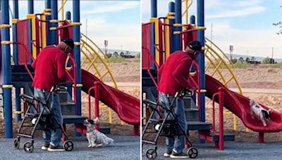 Hearts melt over clip of man playing with dog on the slide: "How beautiful"