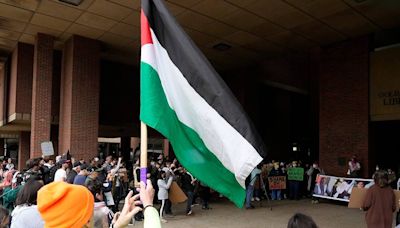 Pro-Palestine protests have popped up at universities across the nation: UK is next