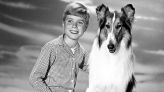 The 'Lassie' Cast, Then and Now | Woman's World