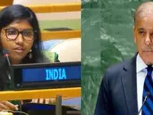 Pakistan must realise cross-border terrorism against India will invite consequences: Delhi's strong Right of Reply in UNGA