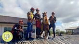 Brazilian horse ‘Caramelo’ stuck on rooftop during floods rescued by firefighters