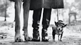 Elliott Erwitt enters Leica Hall of Fame with "pictures that touched the world"