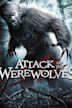 Game of Werewolves – Die Jagd beginnt