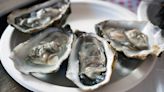 Infections with Vibrio vulnificus, bacteria found in raw oysters, may be rising in US