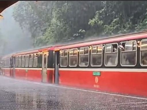 快訊／真的下了！午後暴雨侵襲 民眾目擊阿里山神木車站降落「冰雹」