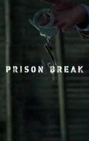 Prison Break: Proof of Innocence