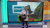 Honolulu Zoo’s Wildest Show Concert Series underway