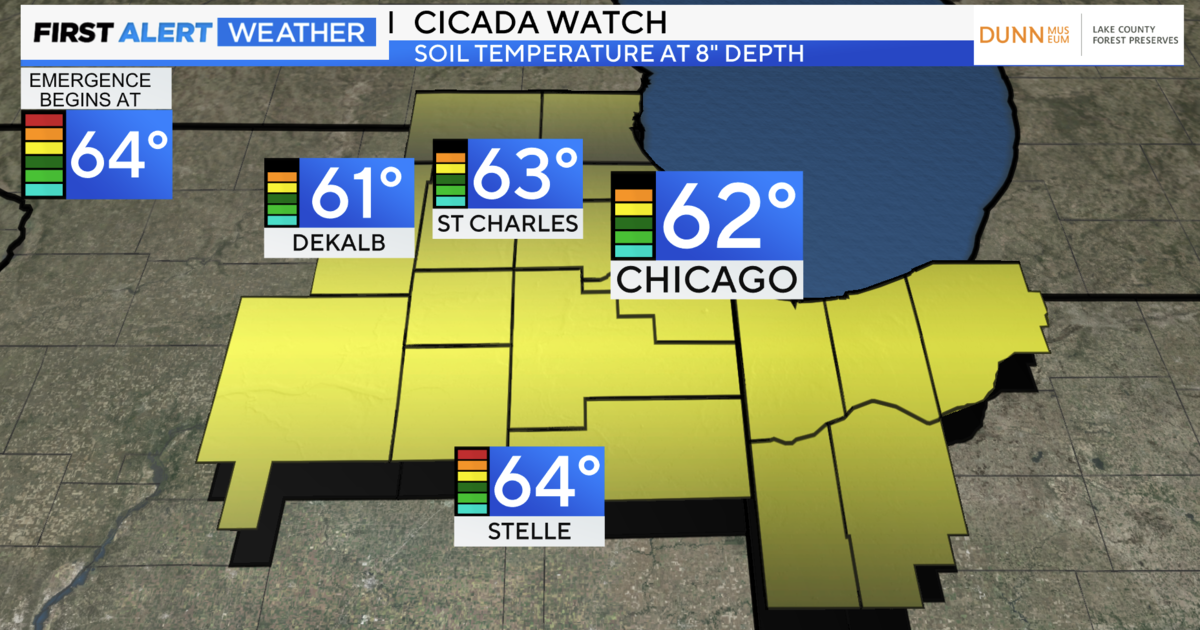 It's 62 degrees, do you know when the cicadas will emerge in Chicago?