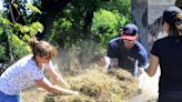 Humble wheelbarrow remains popular in high-tech California. Here are tips for gardeners