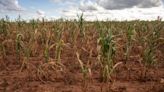 Zimbabwe to Get Over Half of $60 Million Payout for El Niño-Hit African Nations
