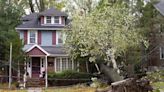 Solved! What to Do If a Tree Falls on Your House
