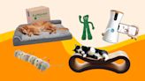 15 pet-pampering toys and treats from Amazon to nab on National Pet Day