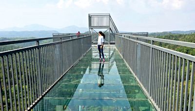 Kodagu DC orders closure of all glass bridges till Sept. 15 - Star of Mysore