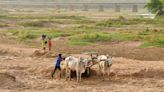 Free sand supply policy to come into force in Andhra Pradesh from today