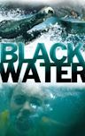 Black Water (2007 film)