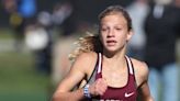 Reaman rolls as Woodridge cross country sweeps district titles