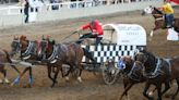 Southern Alberta chuckwagon driver breaks record at Calgary Stampede