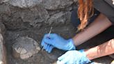 Una nueva sorpresa en las excavaciones de Pompeya: una tortuga con su huevo