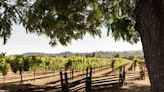 This Small Town Is the Jewel of California Wine Country, With Some of the Best Restaurants and Resorts in the World