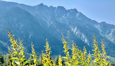 Jesse Melamed and Julia Long Win Pemberton Enduro