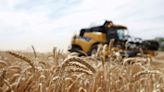 Sovecon ups forecast for Russia's 2022/23 wheat exports