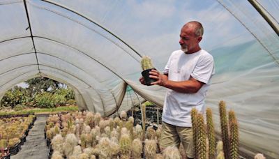 Un italiano es denunciado por contrabando de cactus por una ONG