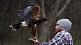 Does your hotel pair you with a falcon to hunt? Why this Tennessee inn focuses on adventure