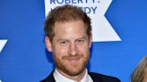 Prince Harry's memoir 'Spare': His relationship with Prince William, more to know ahead of release