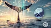 XRP loses buoyancy faster as whales abandon