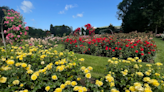 National Rose Month at Hershey Gardens