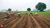 Economic Survey highlights how agriculture can be India’s growth engine amid trade protectionism & AI