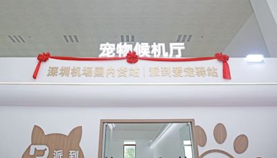 每隻貓狗都有獨立候機空間！全國首家寵物候機廳在深圳機場啟用