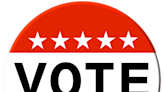 Village, township, school board candidates file for November general election