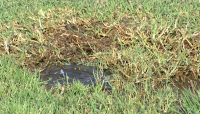 Future of Wichita’s public golf courses up in the air