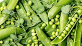 WHAT'S COOKING?: Green peas give salads flavor