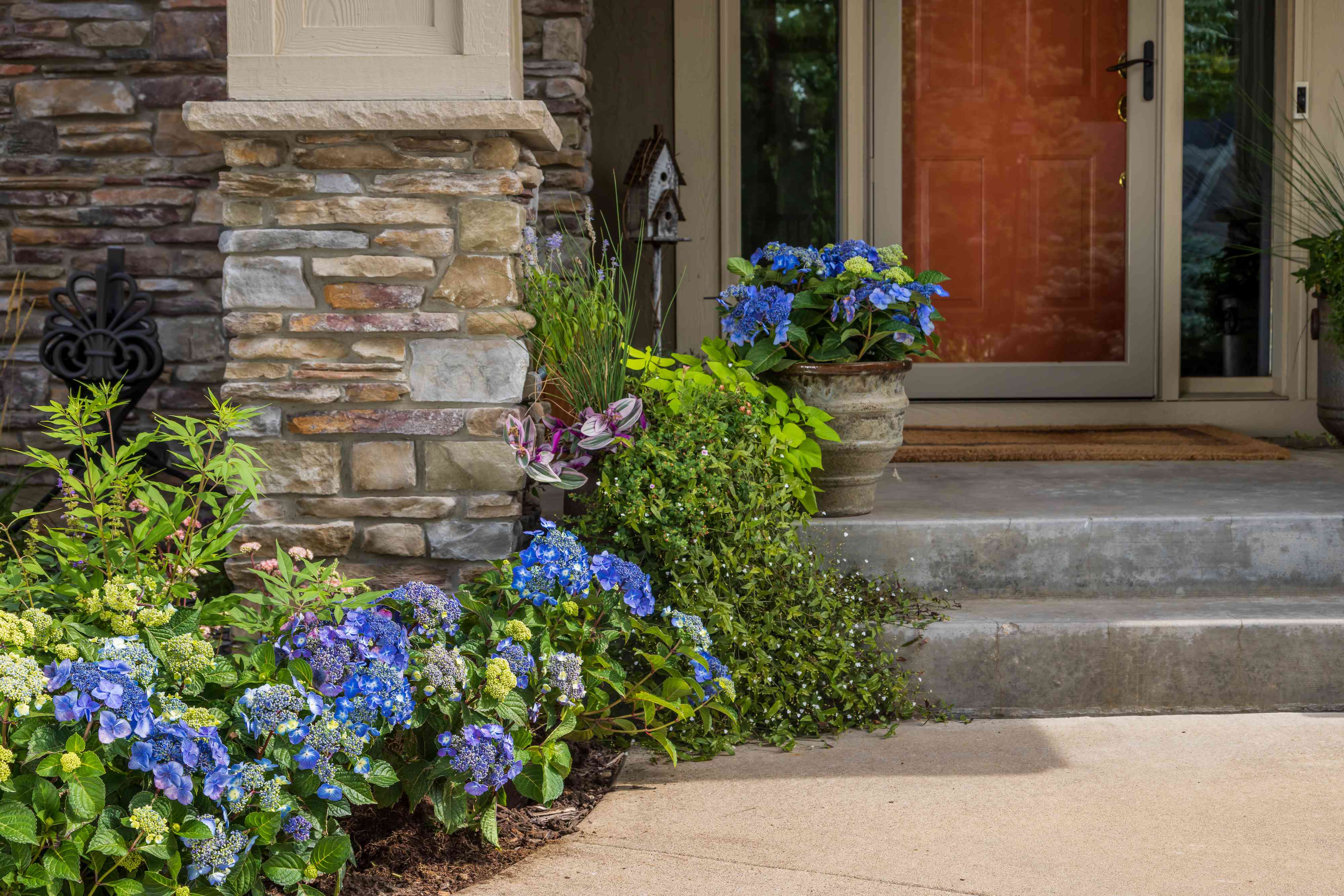 14 Front Door Plants to Beautify the Entrance to Your Home