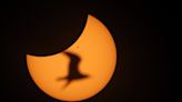 ‘I know why a lot of people chase them.’ Solar eclipse lives up to its hype in Illinois.