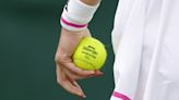 Wimbledon 2024: Why Are Tennis Balls Yellow? Why Thank Sir David Attenborough?