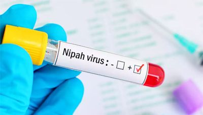 Nipah virus alert sounded in Rajasthan